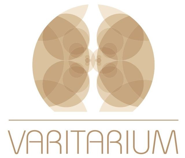 logo-varitarium-821x705-640w